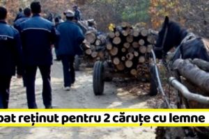 NEAMȚ: Bărbat reţinut pentru 2 căruţe cu lemne
