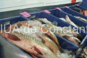 Depistati in Agigea in timp ce vindeau peste fara documente legale