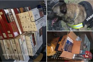 FOTO. Halmeu: Țigări ascunse în cutii de bere şi detergenţi, descoperite de câinele Speedy