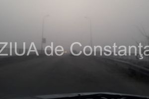 Cod galben de ceata in judetul Constanta!