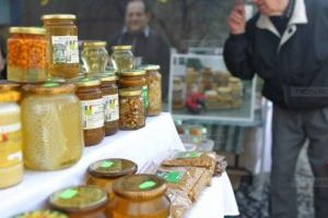 Târg Apicol la Ghiroda, la început de primăvară. Ateliere pentru copii şi invitaţi din străinătate