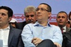 Nici pisic, nici broască râioasă. Olguţa are două noi specii şi o destinaţie surpriză pentru Ponta