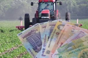 Peste 600 de milioane de euro au intrat în conturile fermierilor din toată ţară