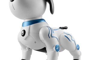 Cele mai importante schimbari in 2020, pentru o viata mai buna