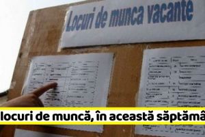 NEAMȚ: 93 NOI locuri de muncă, comunicate în această săptămână