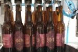 Berea Scorilo a fost oficial scoasă la vânzare