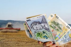 APIA, la zi cu subvenţiile pentru fermieri: „Banii au intrat în conturile agricultorilor”