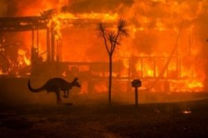 Experţii anunţă dezastrul - Oamenii vor trebui să se adapteze