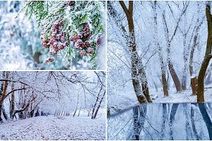 Imagini de basm în Satu Mare. Fenomenul care a transformat oraşul într-un tărâm de poveste