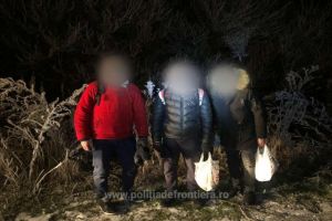 Tentativa de trecere ilegala a frontierei de stat: Patru cetateni din Algeria si unul din Libia, opriti de politisti in Satu Mare 
