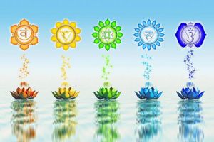 Ce este bine să faci în fiecare zi a săptămânii