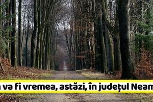 METEO: Cum va fi vremea, astăzi, în Neamţ. Prognoza meteo (20 ianuarie)