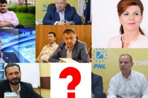 LUPTA PENTRU PRIMĂRIA PITEŞTI