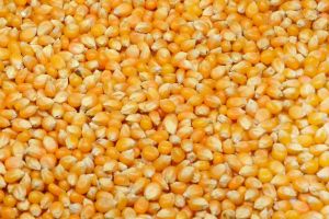 Suspectă de înşelăciune, tentativă la înşelăciune şi fals în înscrisuri sub semnătură privată, reţinută de poliţişti