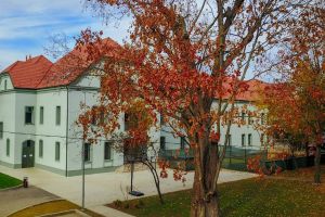 Premieră pentru Timişoara - British International School of Timişoara a primit prestigioasa acreditare COBIS