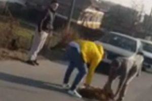 (VIDEO) CÂINE ACCIDENTAT MORTAL DE TAXI ÎN ZĂVOI