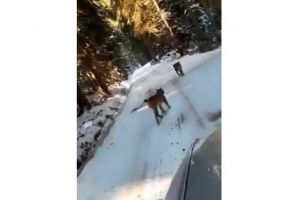 VIDEO: Imagini rare la Sibiu – Râşi filmaţi pe drumul dintre Gura Râului şi Păltiniş