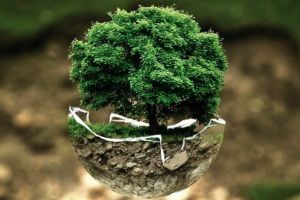 Microsoft vrea să elimine tot dioxidul de carbon pe care l-a emis vreodată. Compania investeşte de asemenea în tehnologia verde