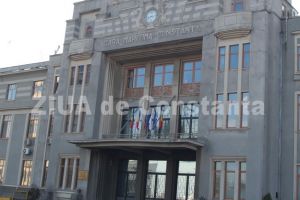 Declaratie de avere - Laura Niculae, economist la Compania Nationala Administratia Porturilor Maritime SA Constanta (document)