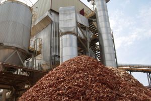 Întrucât extinderea reţelelor de gaz pare misiune imposibilă, încă o comună îşi face centrală pe biomasă