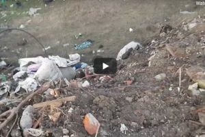 DEZASTRU ECOLOGIC la Zimandu Nou: SUTE de TONE de gunoi aruncate şi acoperite pe un teren viran