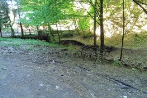 CL Baia Mare: S-a ridicat interdictia de acces pentru autovehiculele care transporta lemne in zonele calamitate Valea Usturoi si Valea Rosie