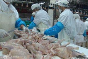 Carne de pasăre de la fermele din Ungaria unde există gripă aviară, la vânzare în Mureş