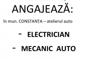 Polaris M Holding angajeaza