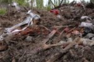 Oase umane, găsite la marginea Timişoarei!