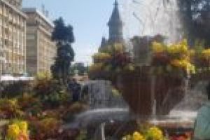 Se anunţă o nouă ”explozie” florală în Banat: ”Va fi ediţia de cea mai mare anvergură”