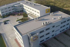 Roboţii software, soluţie pentru creativitate umană