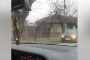Un şofer a confundat maşina cu bicicleta. Surprins pe contrasens, pe pista de pe Eneas