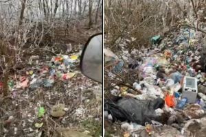 VIDEO| ȘTIREA TA: Gunoaiele sunt produse de alte gunoaie. Tone de deşeuri într-o pădure din apropierea Teiuşului
