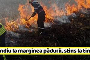 NEAMȚ: Incendiu la marginea pădurii, stins la timp de pompieri