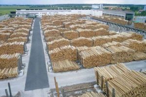 Holzindustrie Schweighofer, actual HS Timber Group, cu fabrică la Sebeş, exporturi de peste 400 de milioane de euro: „Se intensifică cererea pe piaţa de cherestea”