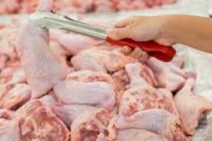Alerta alimentara in Braila / Carnea, posibil infectata cu virusul gripei aviare, a ajuns si in pietele noatre