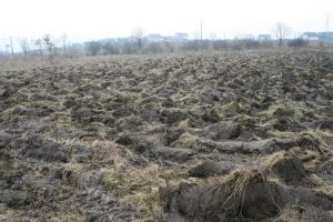 Tinerii pot primi 50 ha de teren agricol. Ce suprafaţă are statul în Bistriţa-Năsăud