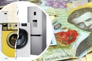 Programul Rabla pentru electrocasnice continuă şi în 2020