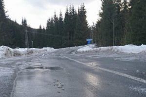 Maramures: Cod galben de burnita si polei