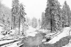 Meteo: Cel mai rece a fost noaptea trecuta la Cavnic si Ocna Sugatag -4 grade. Sunt anuntate burnita si polei