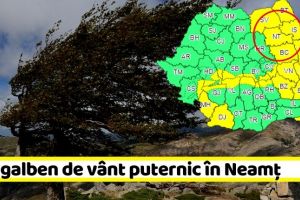 METEO: Cod galben de vânt puternic în judeţul Neamţ