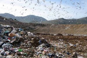 Primăria Sibiu plăteşte anul acesta mai mult pentru protecţia mediului – Au crescut taxele de depozitare a deşeurilor