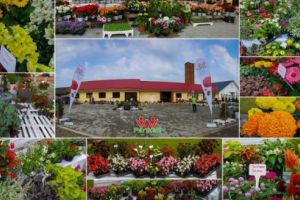 Topul Firmelor Mureşene. Fariker, partenerul grădinarilor exigenţi