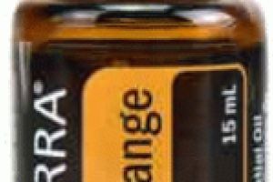 Uleiurile esentiale: cum au ajuns la moda si au cucerit femeile?