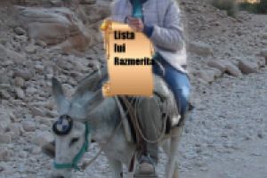 LISTA lui RAZMERITA este FAKE / Credibilitatea Pro Romania se clatina din temelie