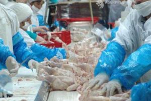 Mureş: Peste 250 de kilograme de carne din Ungaria vândute până la efectuarea controlului!