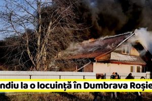 NEAMȚ: Incendiu la o locuinţă în Dumbrava Roşie (FOTO)
