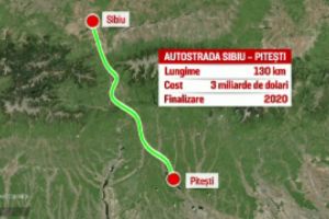 S-a găsit soluţia: Cum vor fi mutaţi gândacii care pun în pericol realizarea autostrăzii Piteşti-Sibiu