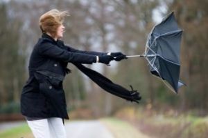 Alerta meteo! / Braila sub cod galben de vant puternic