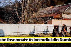 NEAMȚ: Pagube însemnate în incendiul din Dumbrava Roşie (FOTO)